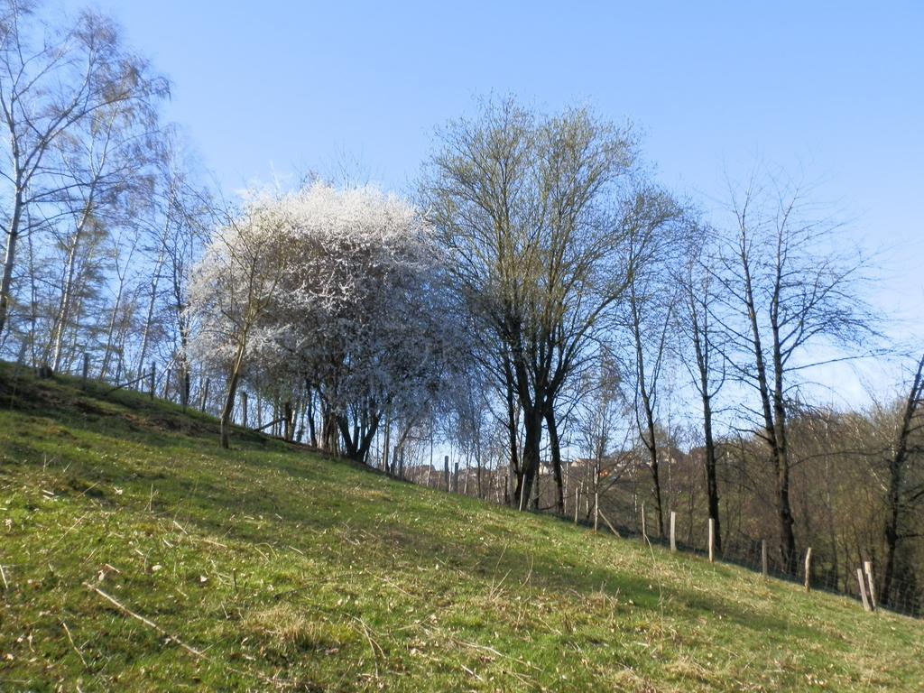 D'r Pletsch Apartamento