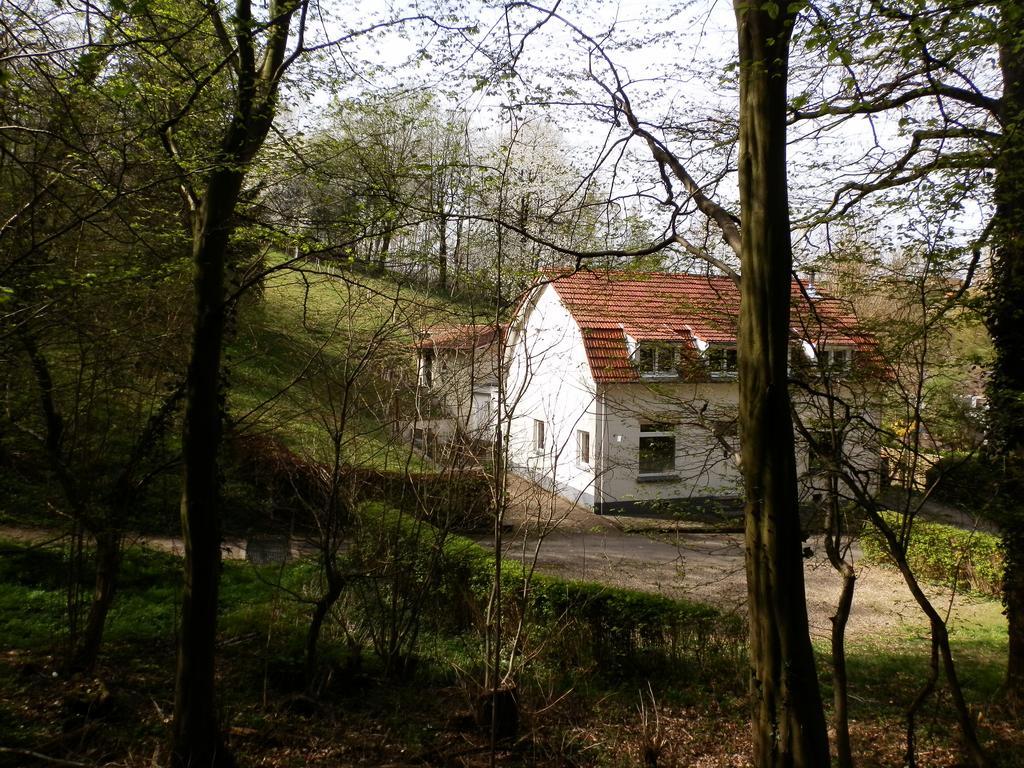 D'r Pletsch Berg en Terblijt